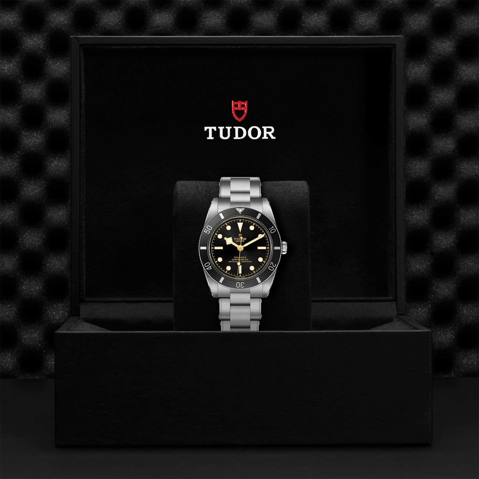 TUDOR Black Bay 54 - Image 5