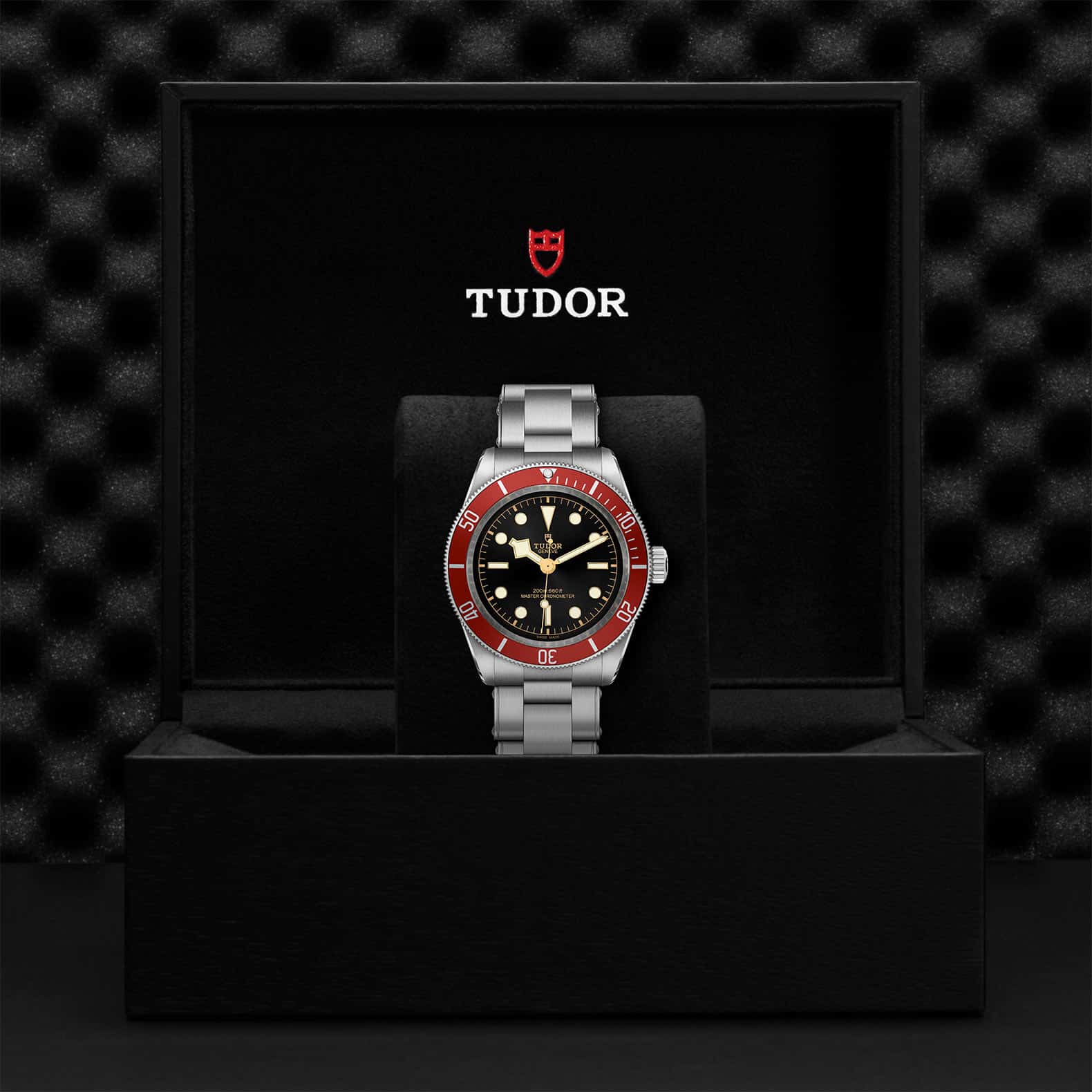TUDOR Black Bay - Image 5