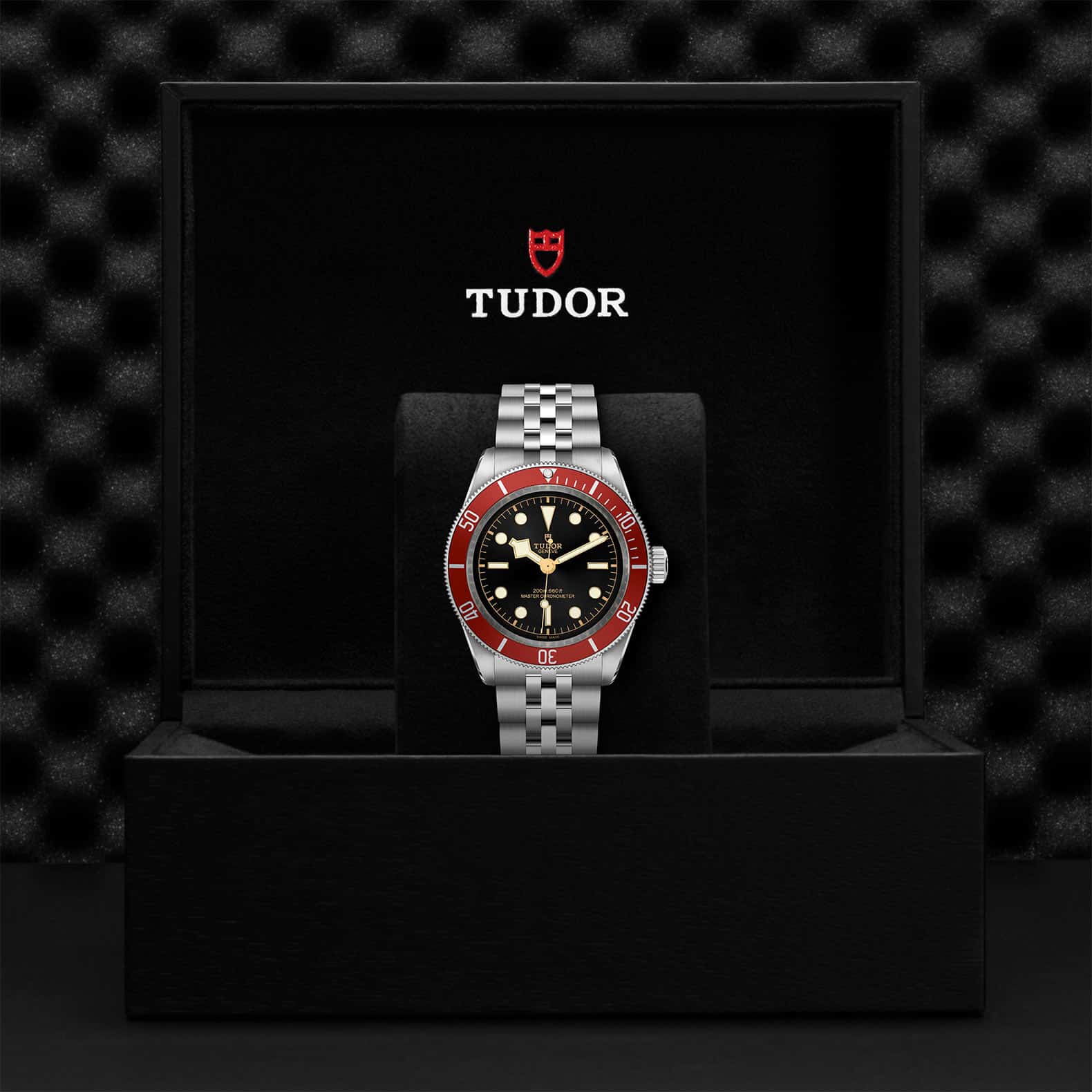 TUDOR Black Bay - Image 5