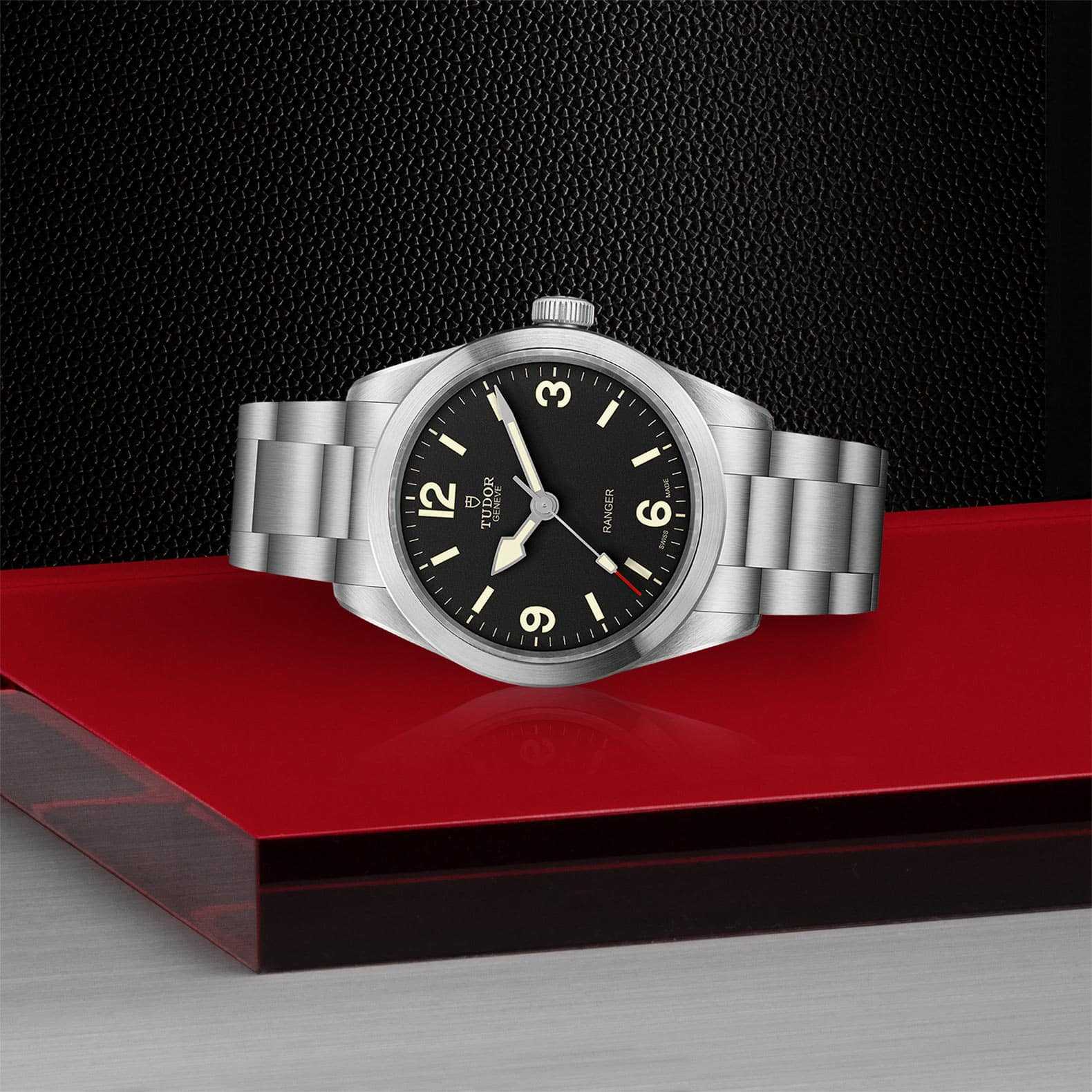 TUDOR Ranger - Image 2