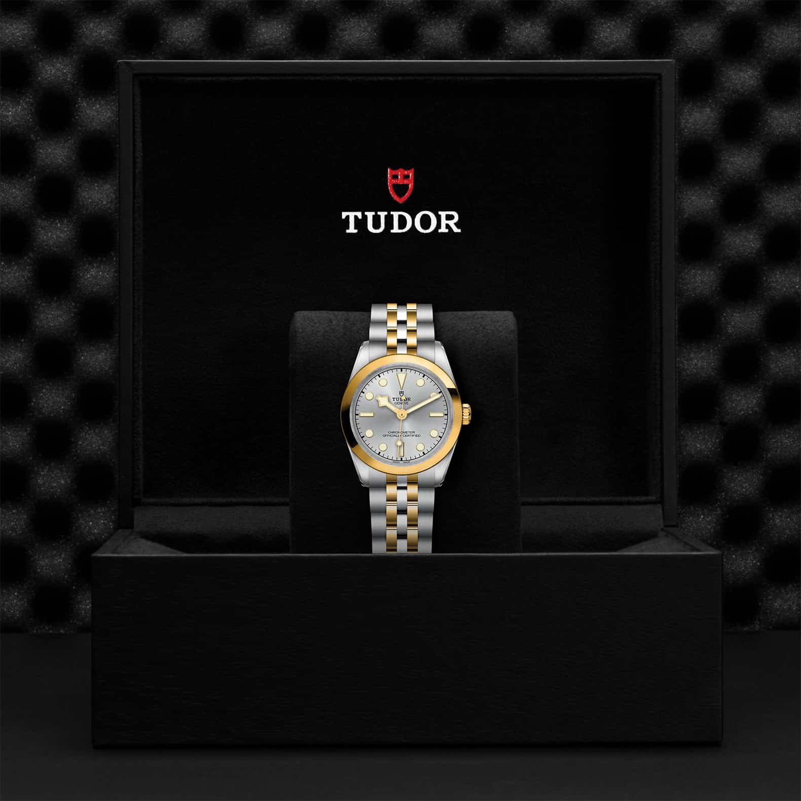 TUDOR Black Bay One 31 S&G - Image 4