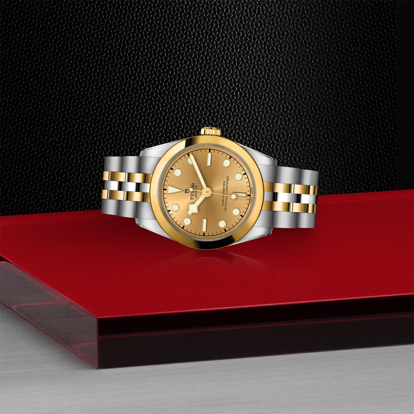 TUDOR Black Bay One 31 S&G - Image 2