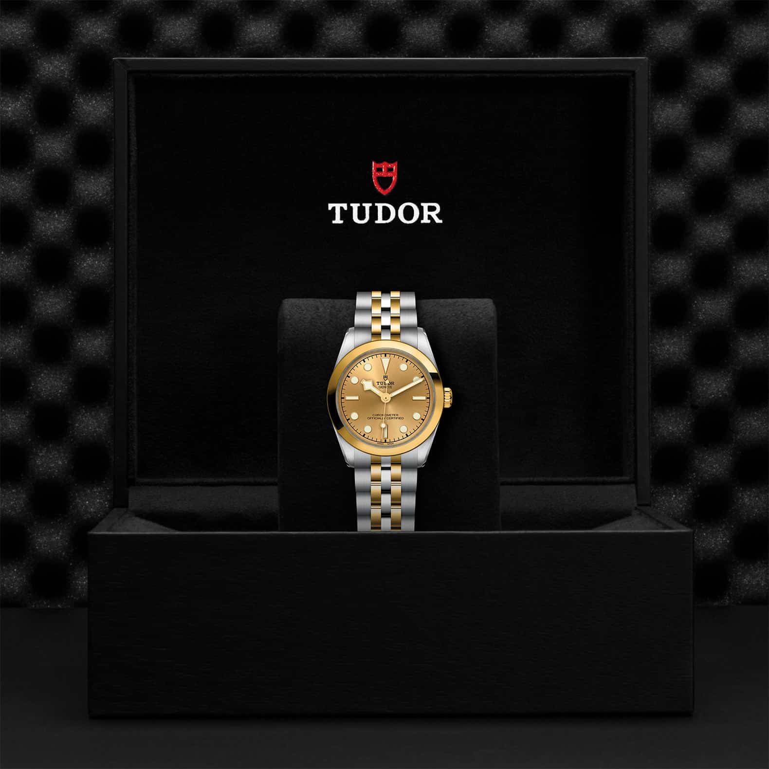 TUDOR Black Bay One 31 S&G - Image 5