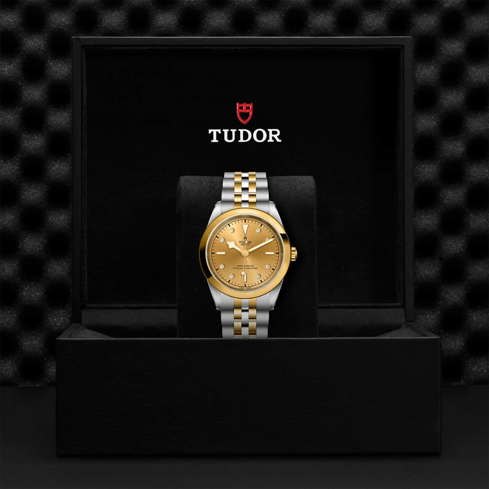 TUDOR Black Bay One 41 S&G - Image 5