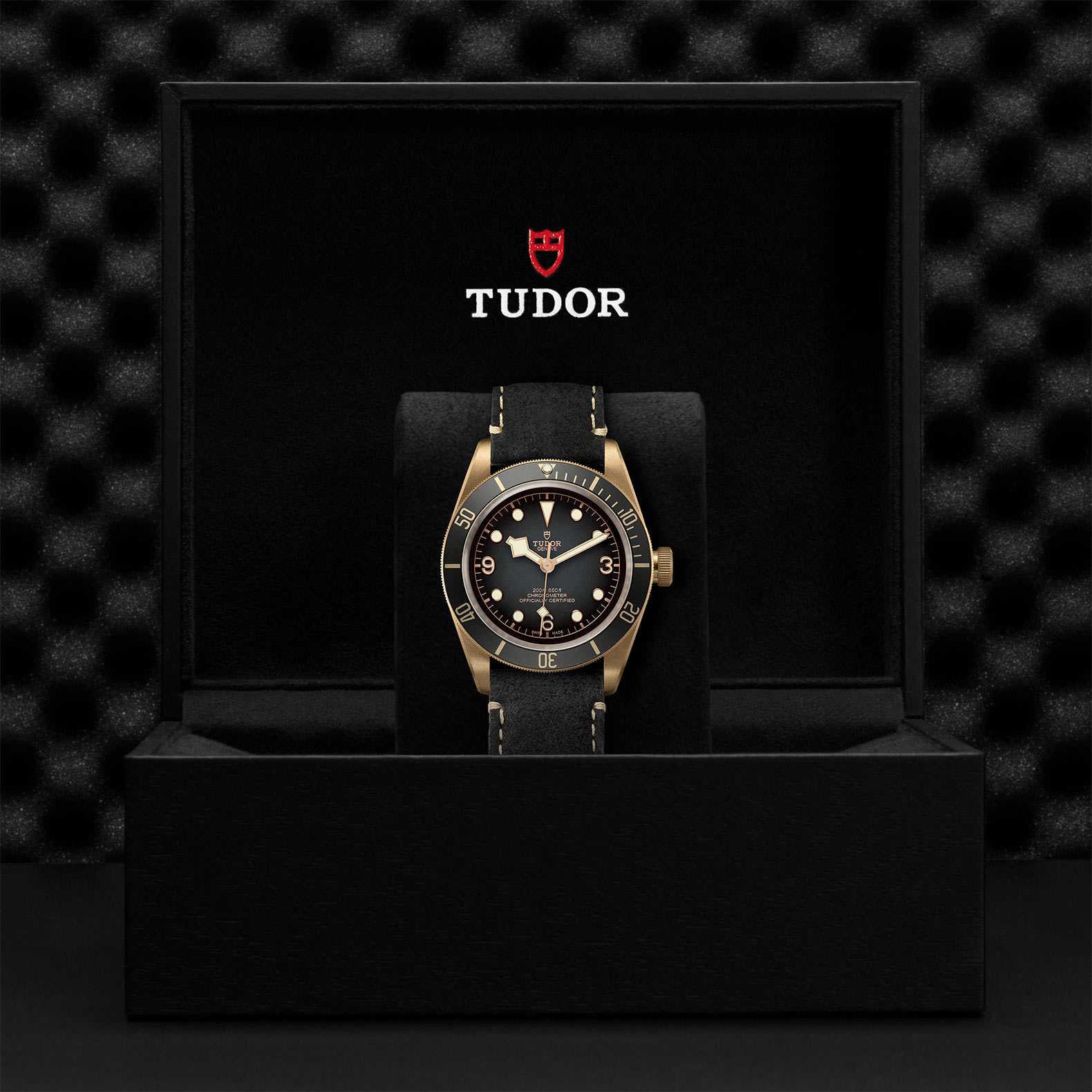 TUDOR Black Bay Bronze - Image 5