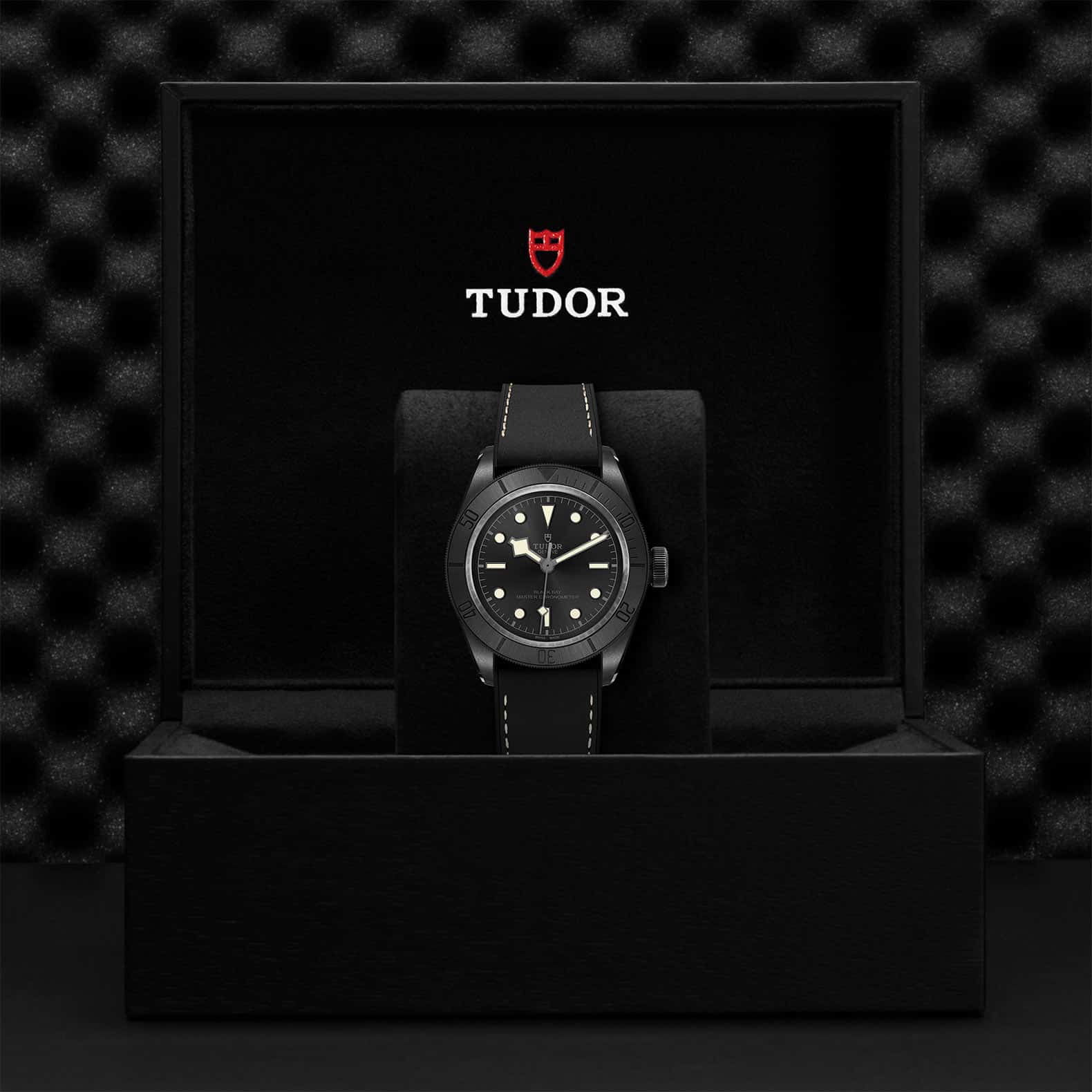 TUDOR Black Bay Ceramic - Image 7