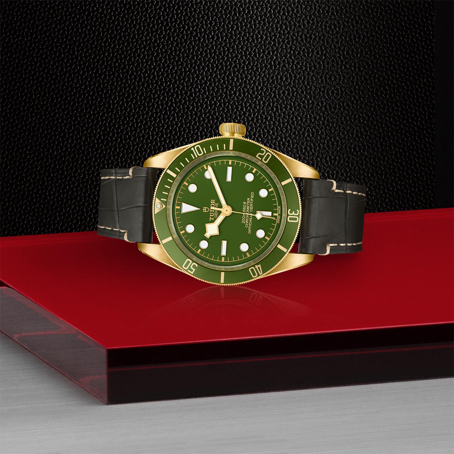 TUDOR Black Bay 58 18K - Image 2