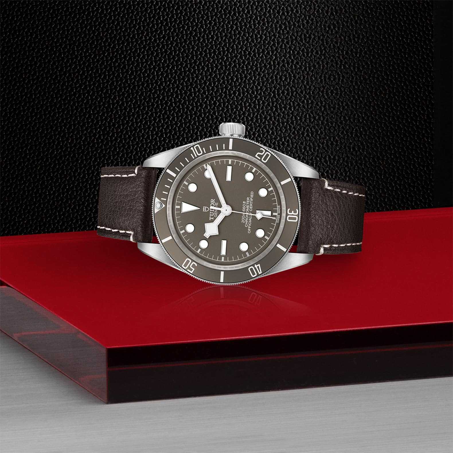 TUDOR Black Bay 58 925 - Image 2