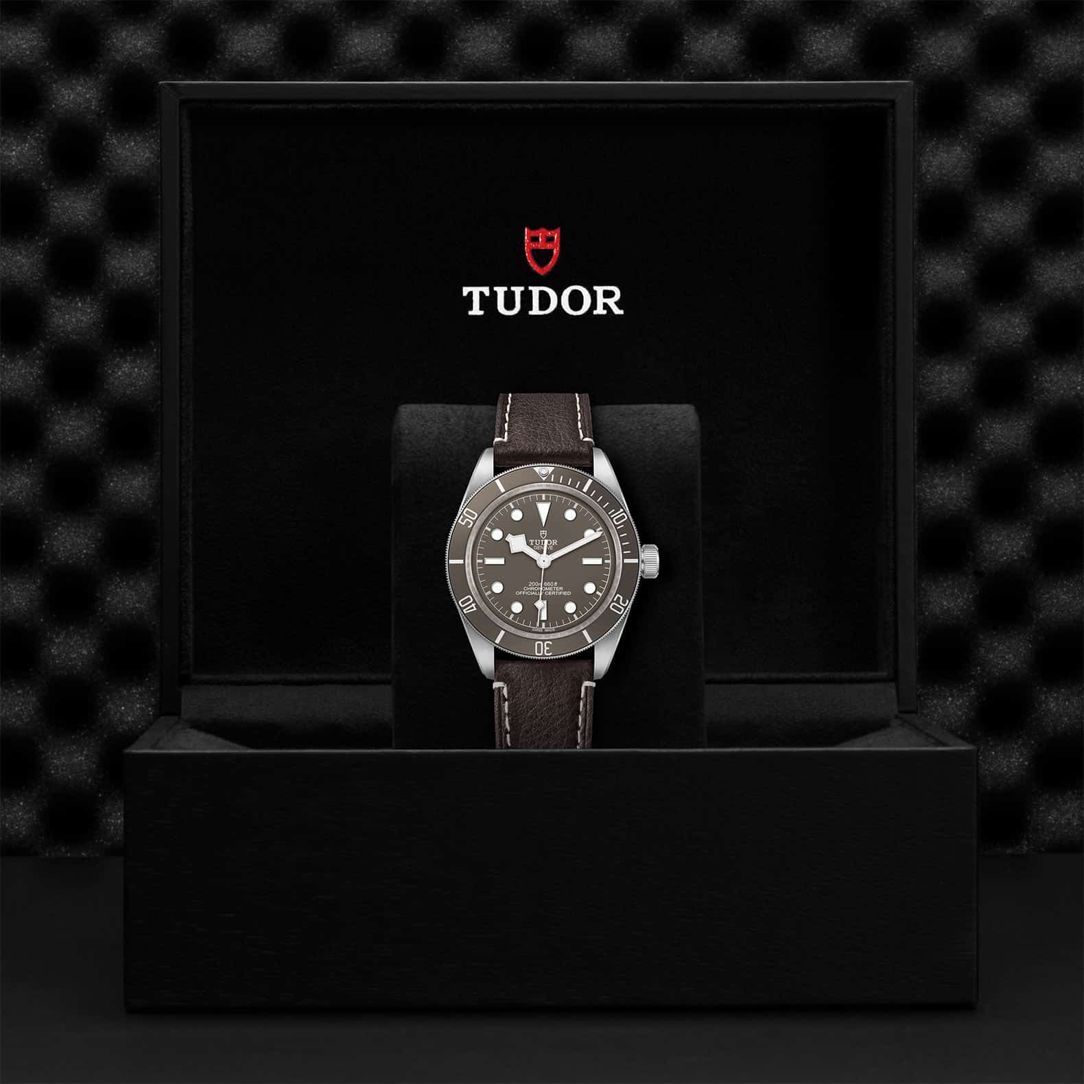 TUDOR Black Bay 58 925 - Image 5