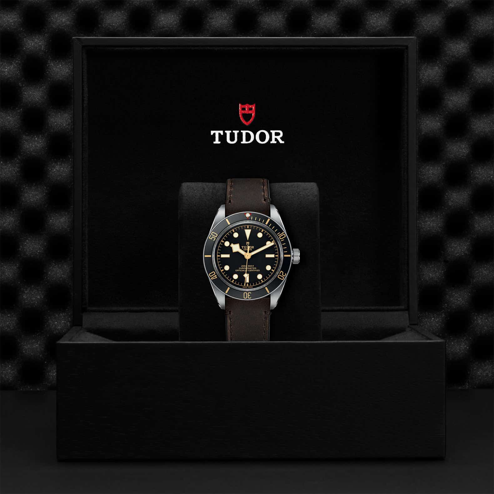 TUDOR Black Bay 58 - Image 5