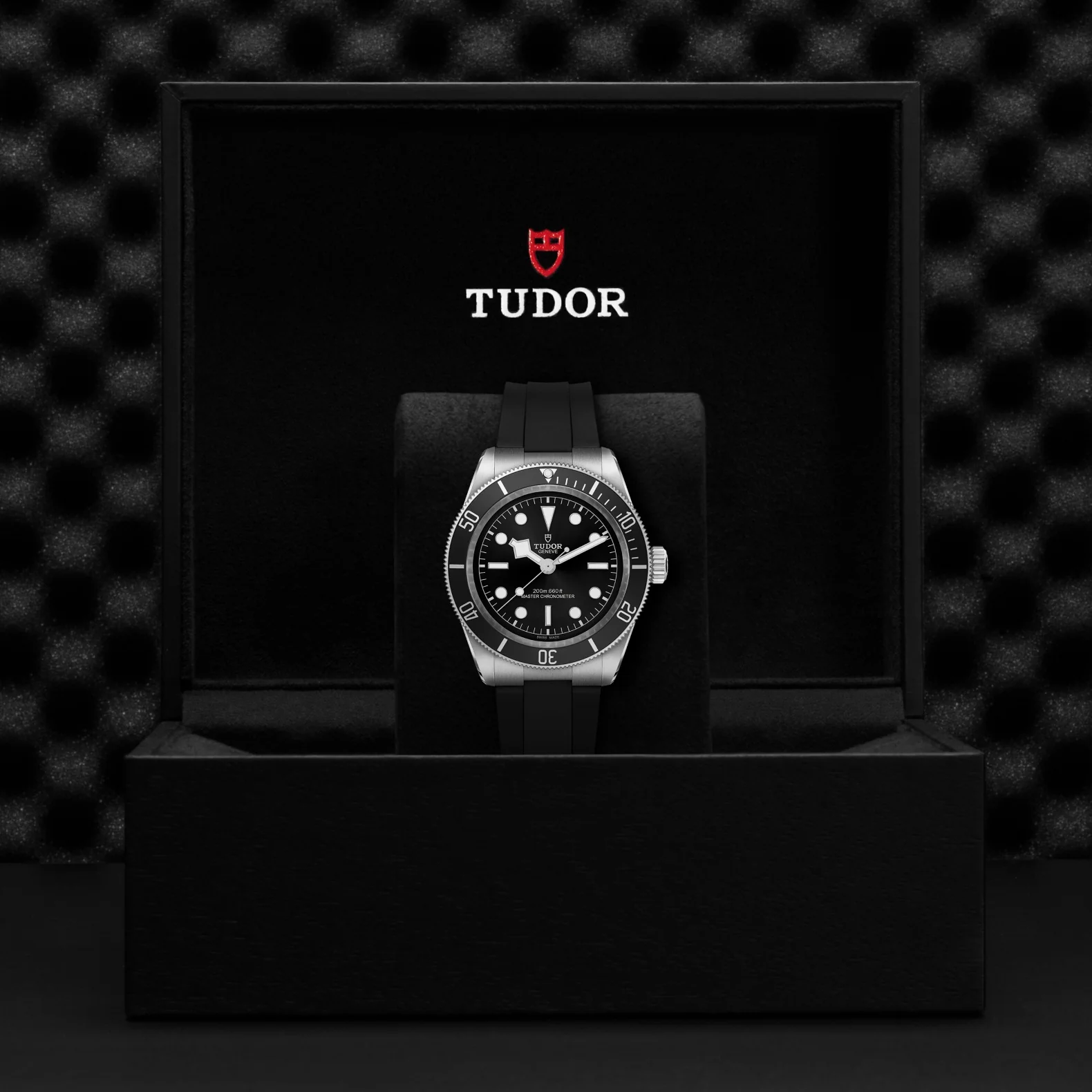 TUDOR Black Bay - Image 5