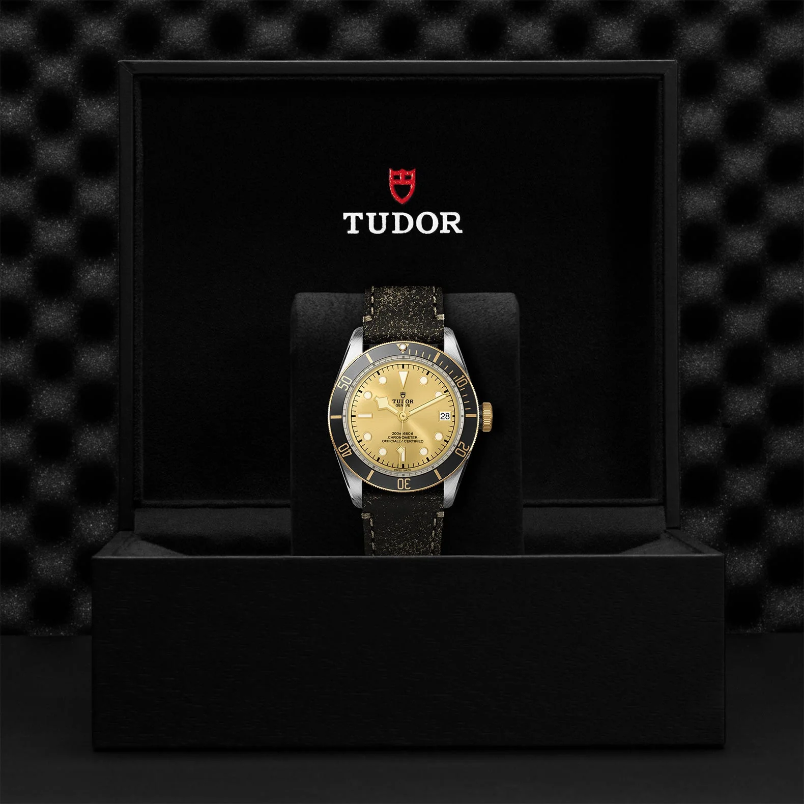 TUDOR Black Bay S&G - Image 5