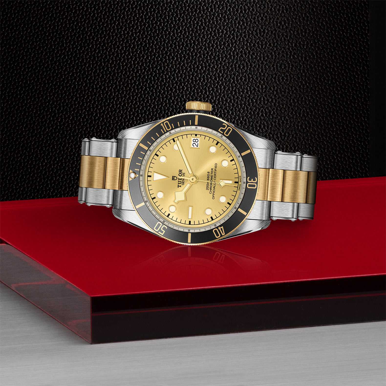 TUDOR Black Bay S&G - Image 2