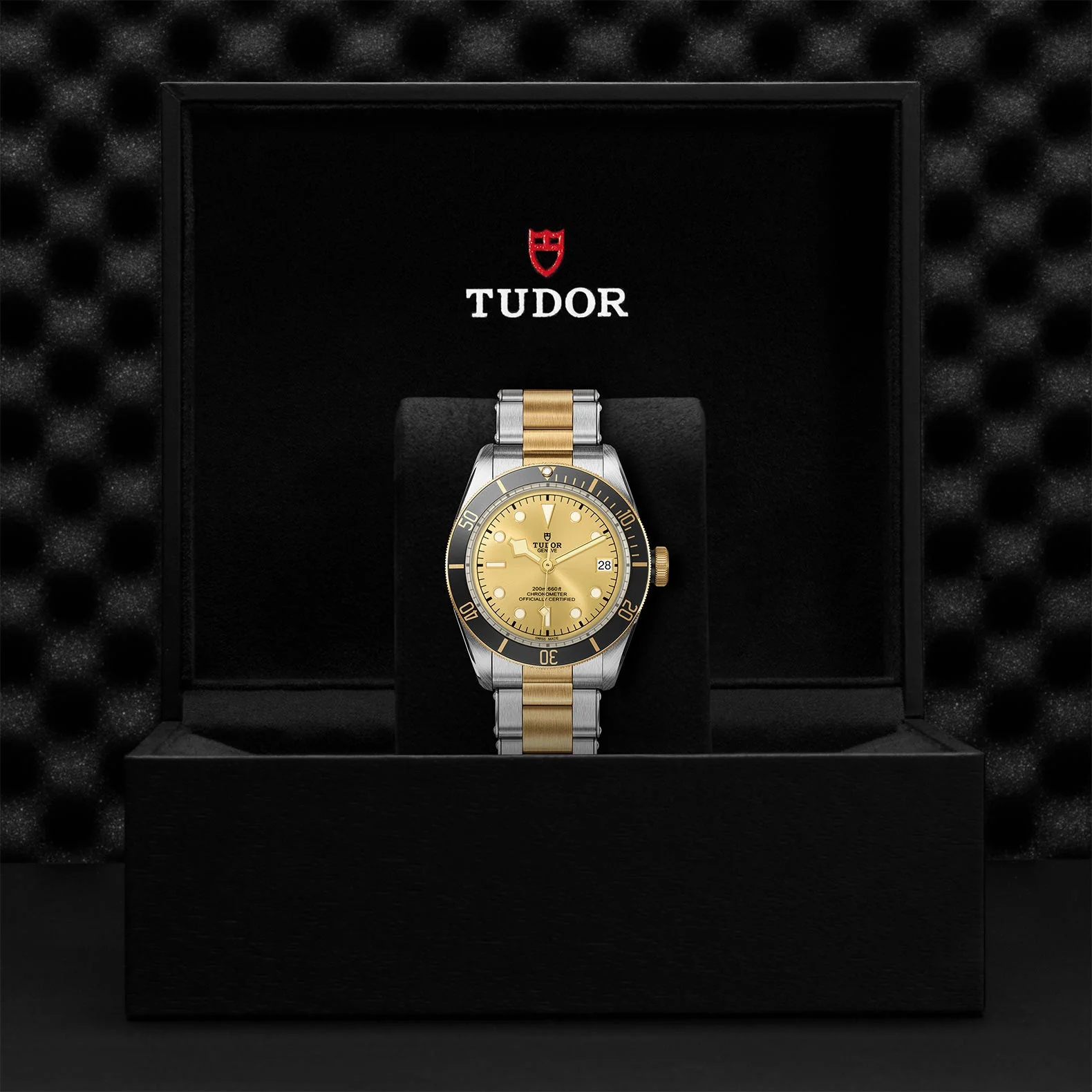 TUDOR Black Bay S&G - Image 5