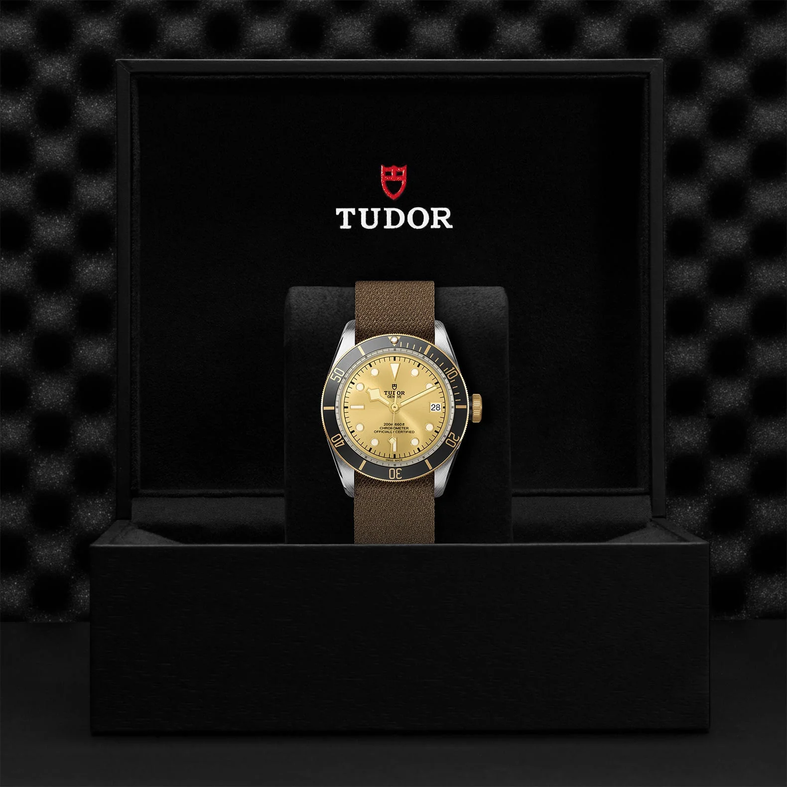 TUDOR Black Bay S&G - Image 5