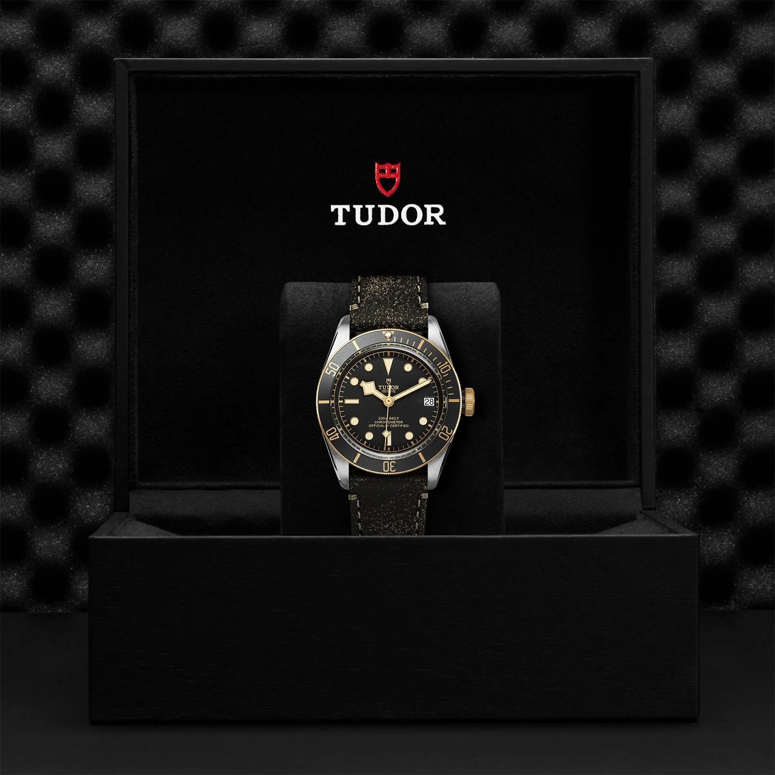 TUDOR Black Bay S&G - Image 5